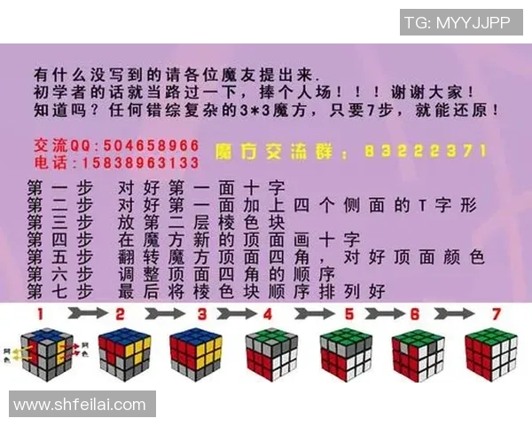荷兰与瑞典精彩对决比分魔方解析及赛后分析